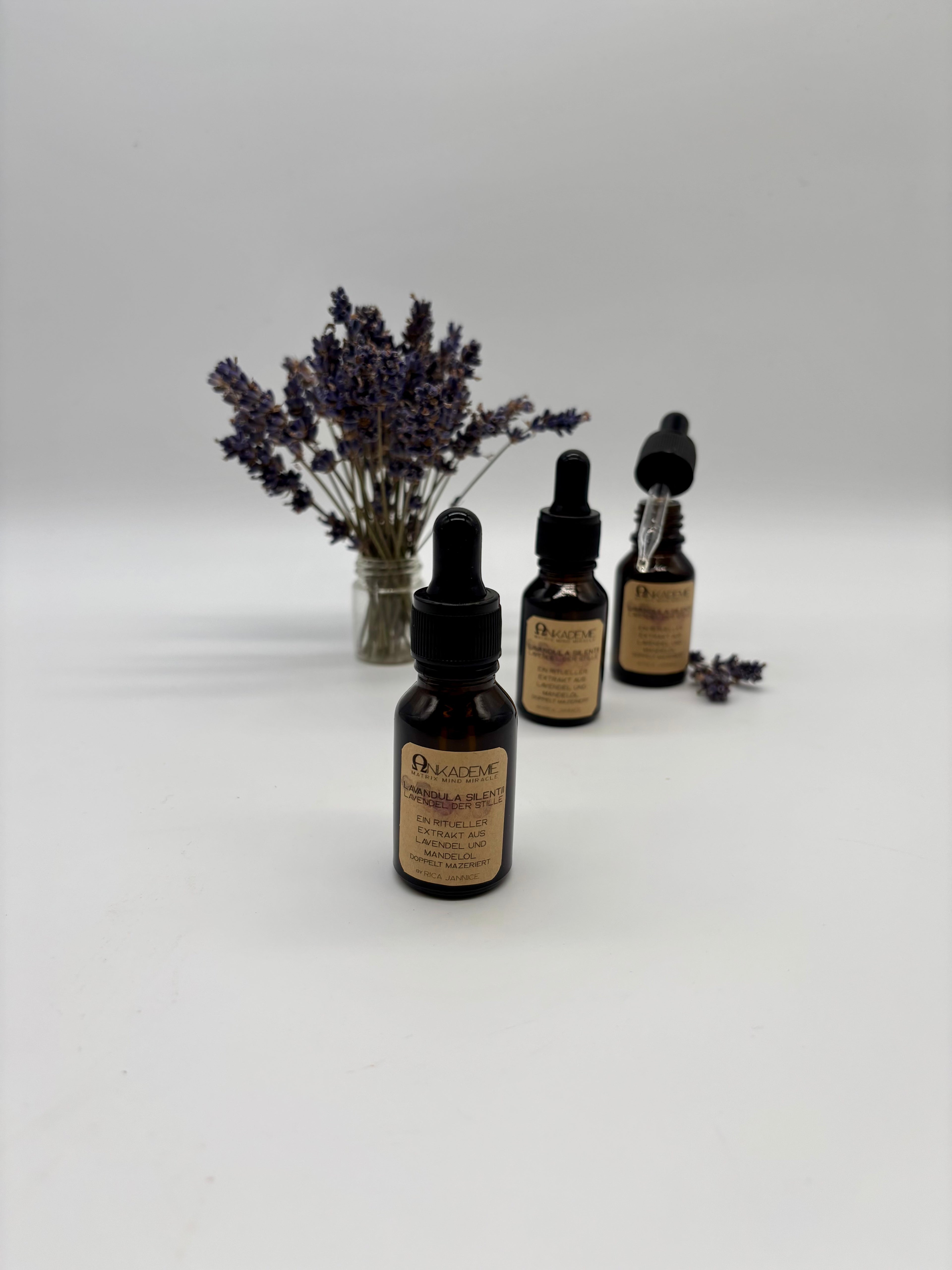 Ritualöl – Lavandula Silentii · Lavendel der Stille  Stille · Sammlung · Innehalten