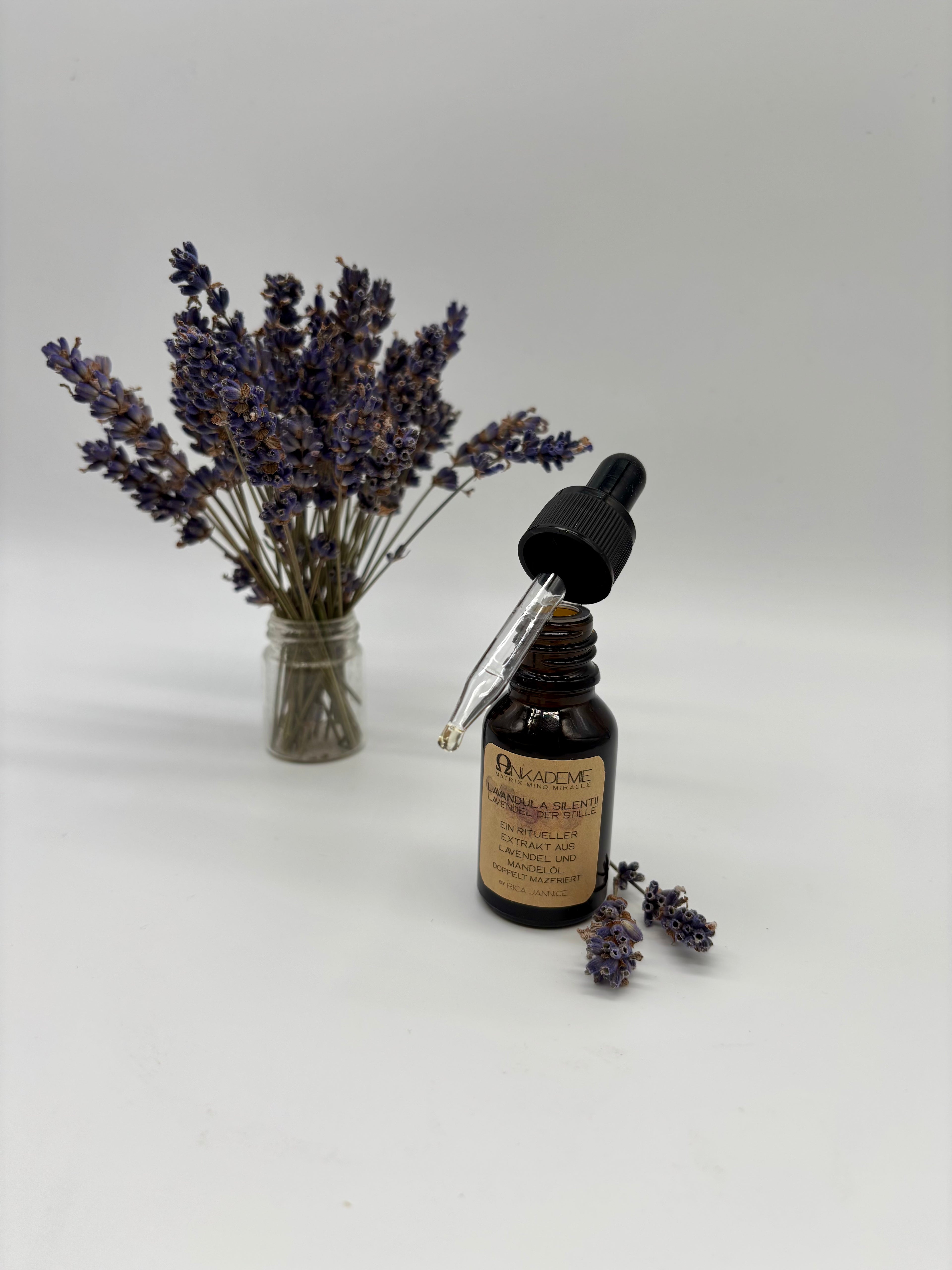 Ritualöl – Lavandula Silentii · Lavendel der Stille  Stille · Sammlung · Innehalten