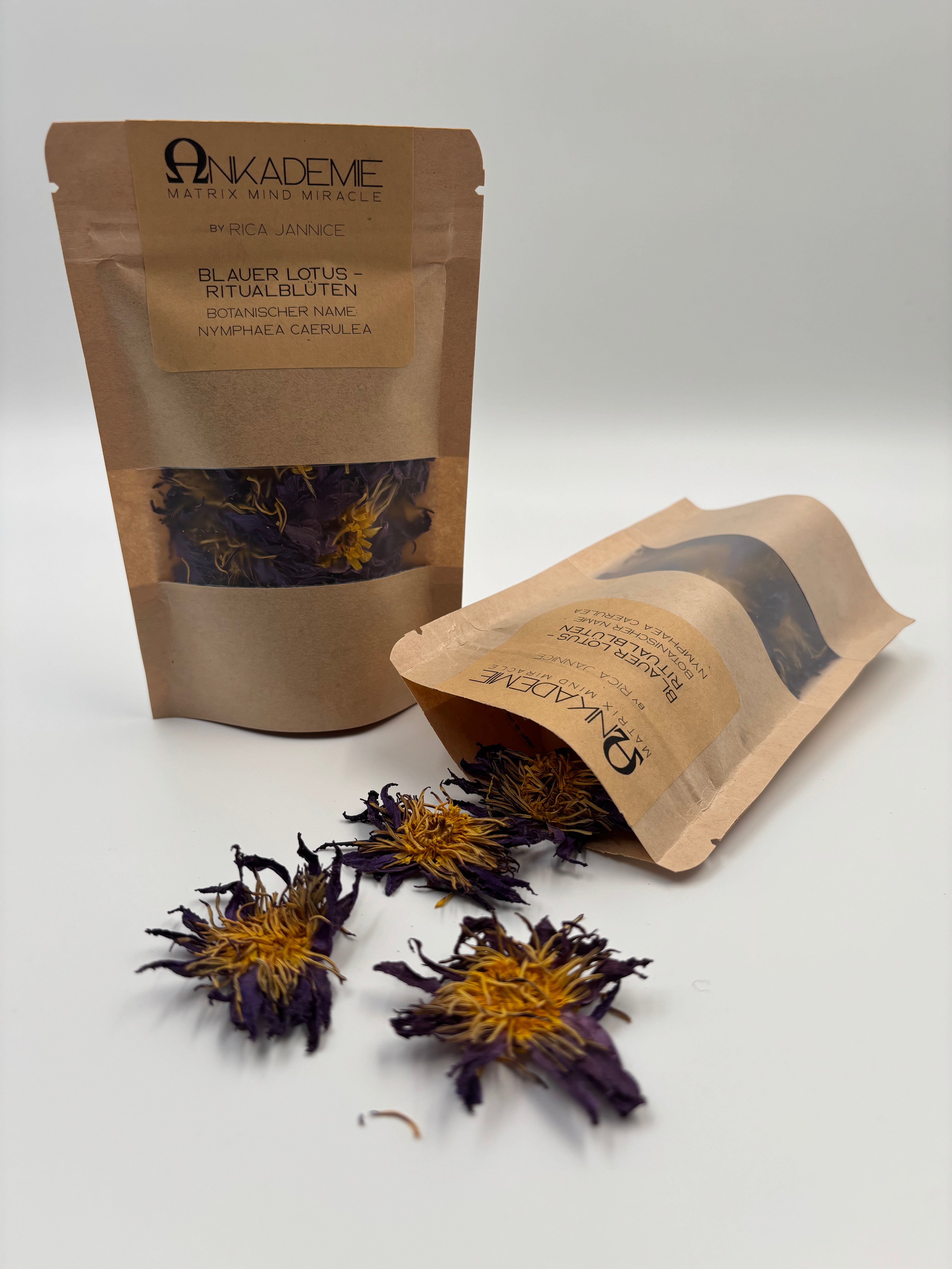 Blauer Lotus – Ritualblüten · Übergang & nächtliche Einkehr