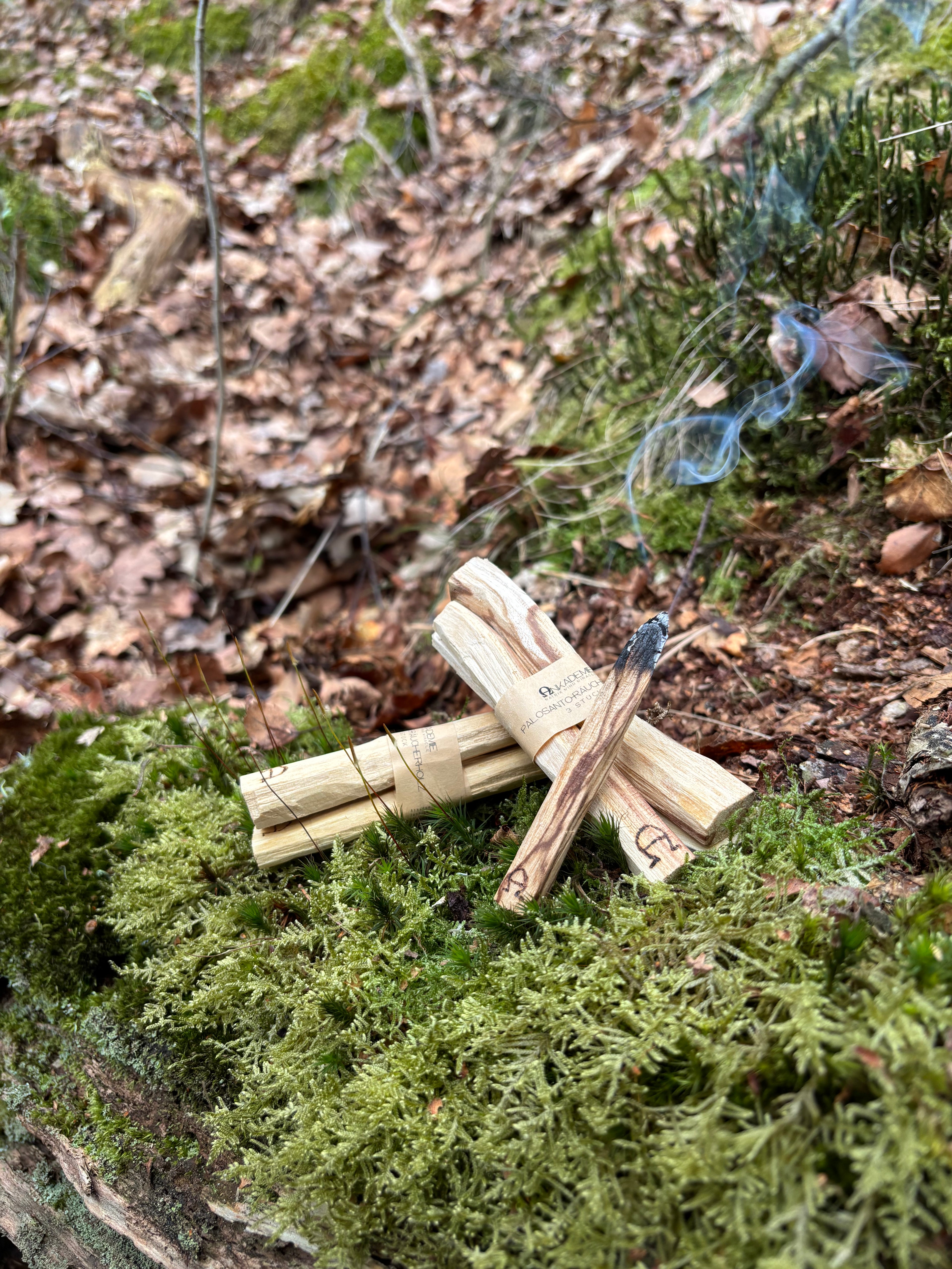 Palo Santo Stick – Pur · Reinigung & Klarheit | 3er Set