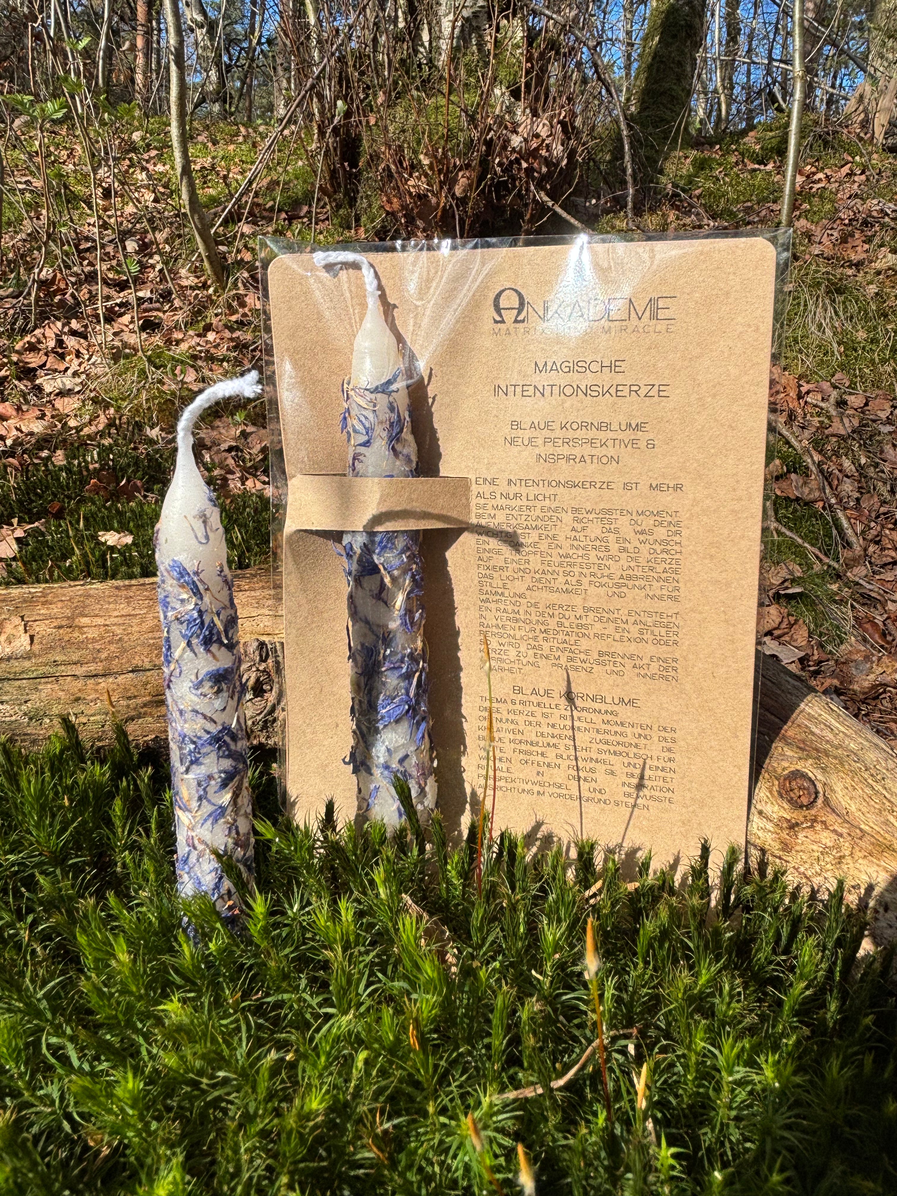 Intentionskerze – Blaue Kornblume · Neue Perspektive & Inspiration