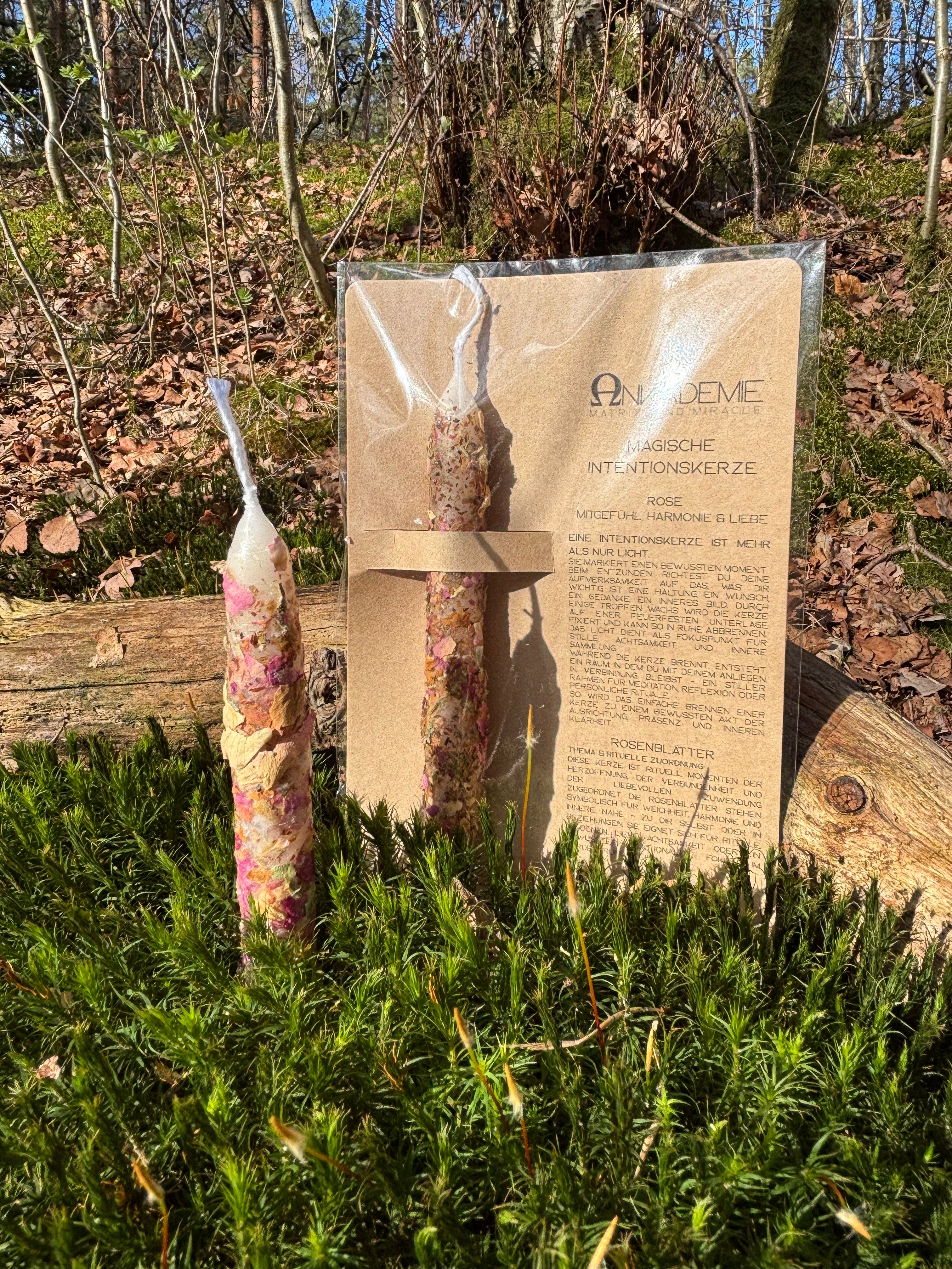 Intentionskerze – Rose · Mitgefühl, Harmonie & Liebe