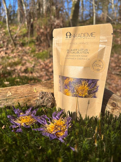 Blauer Lotus – Ritualblüten · Übergang & nächtliche Einkehr