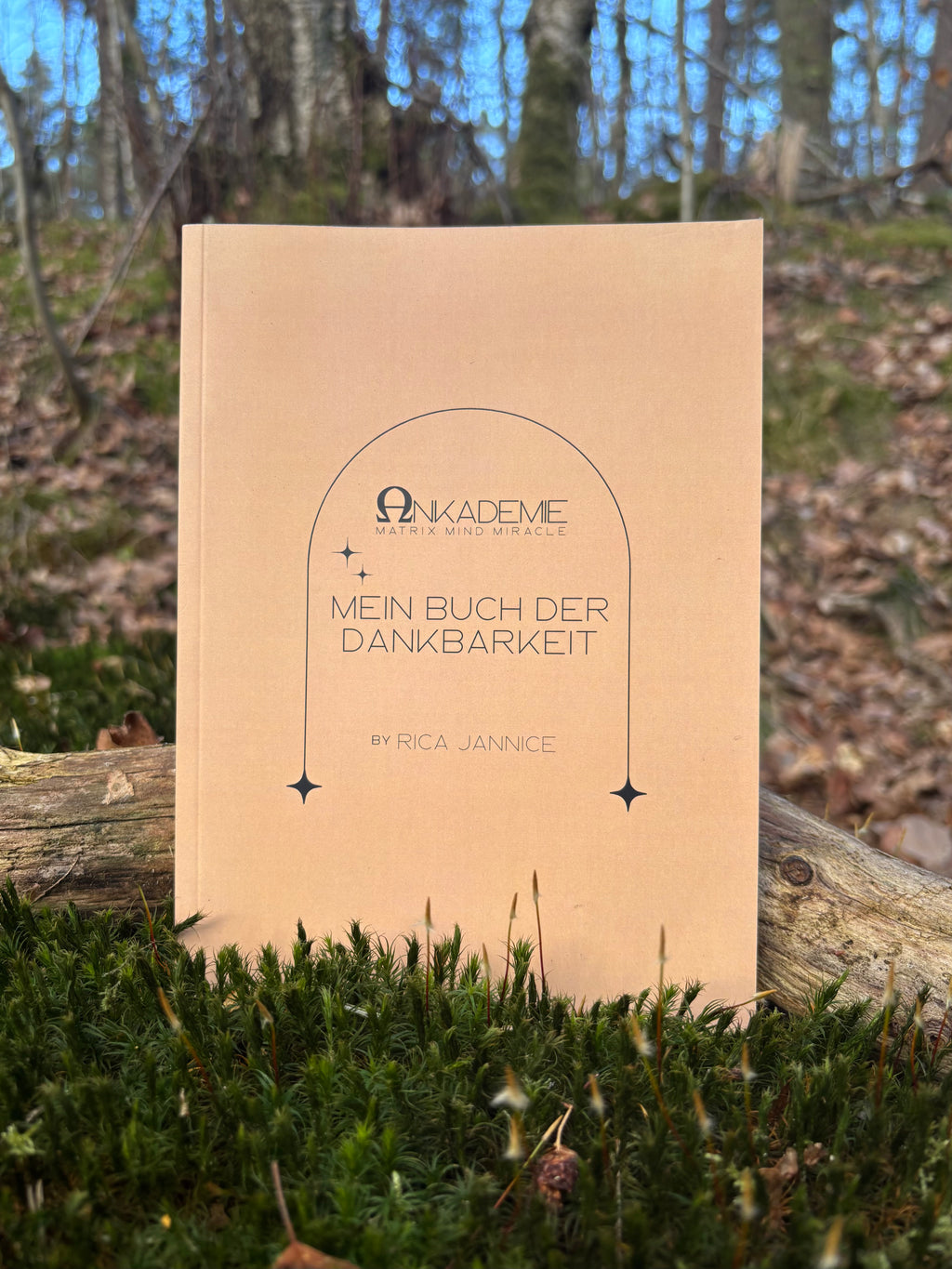 Mein Buch der Dankbarkeit