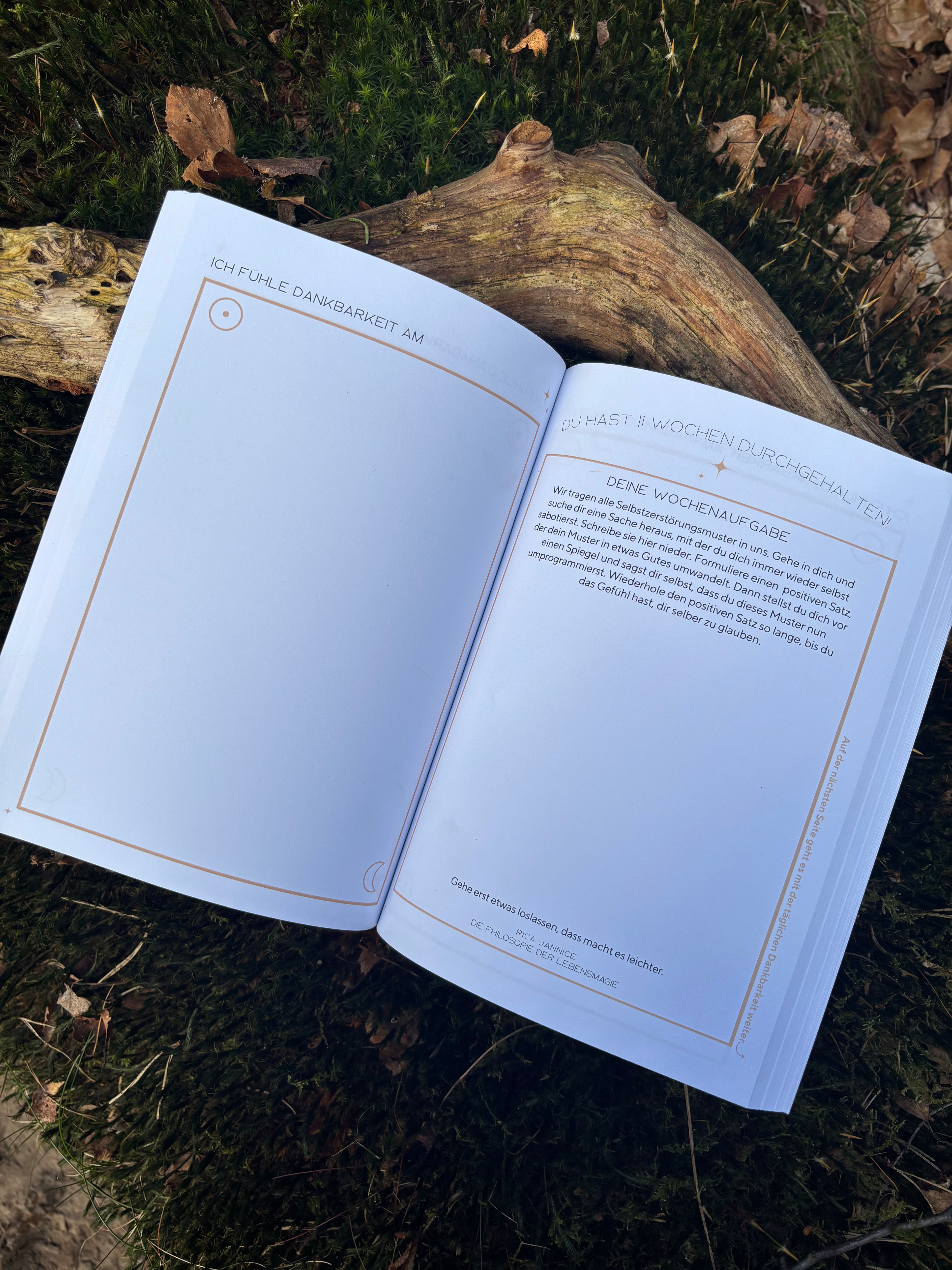 Mein Buch der Dankbarkeit