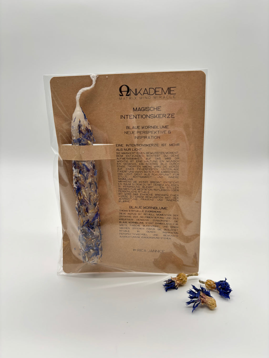 Intentionskerze – Blaue Kornblume · Neue Perspektive & Inspiration