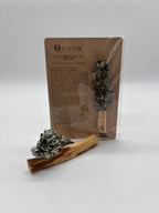 Palo Santo Dualis · Beifuß – Schutzraum · Intuition · Übergang